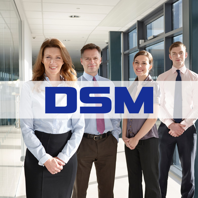 (c) Dsm.com.br